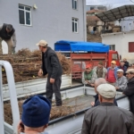 Köşk’te köklü kestane fidanları üreticilere dağıtıldı