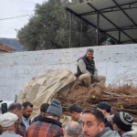 Köşk’te köklü kestane fidanları üreticilere dağıtıldı