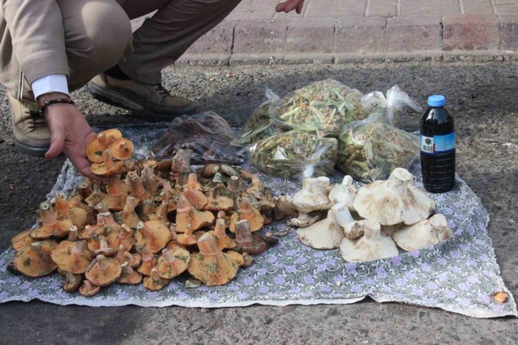 lezzeti cezbediyor toplamasi dikkat istiyor 28a2c5a59f82