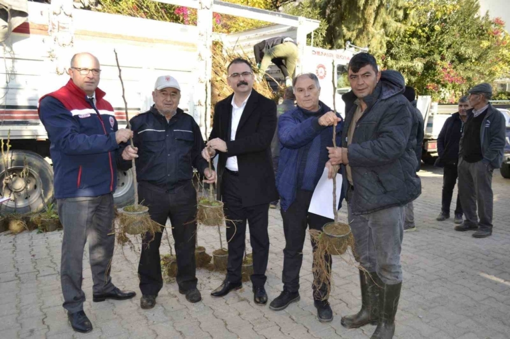 sultanhisarda ureticiye kestane ve incir fidesi dagitildi bd8df12619ba