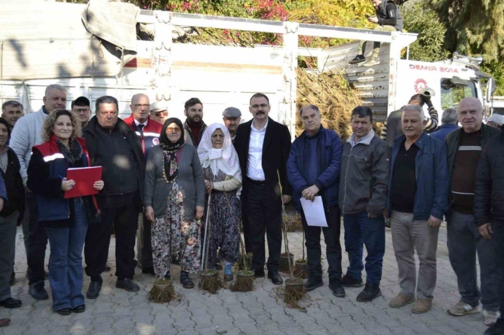 sultanhisarda ureticiye kestane ve incir fidesi dagitildi e6a2daba9fbd