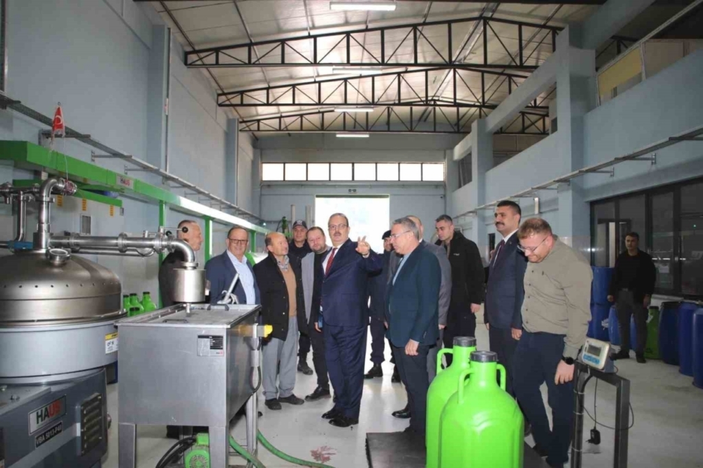 vali canbolat koskte zeytinyagi sikim isletmelerinde incelemelerde bulundu efc296b3b011