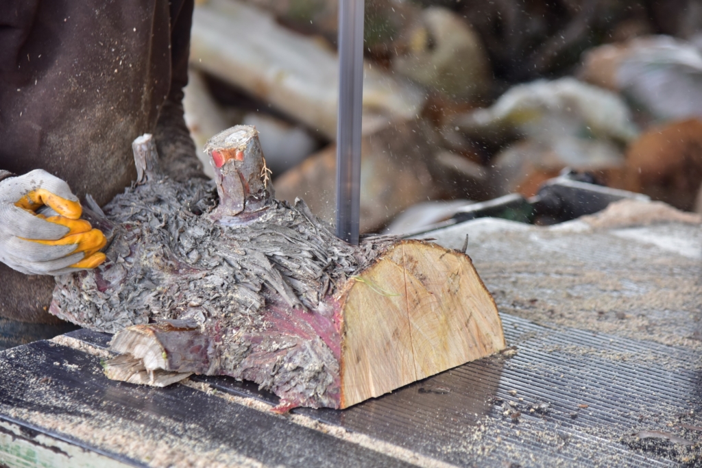 4253bf66 bbe4 4f20 b51f 13db48803d1b