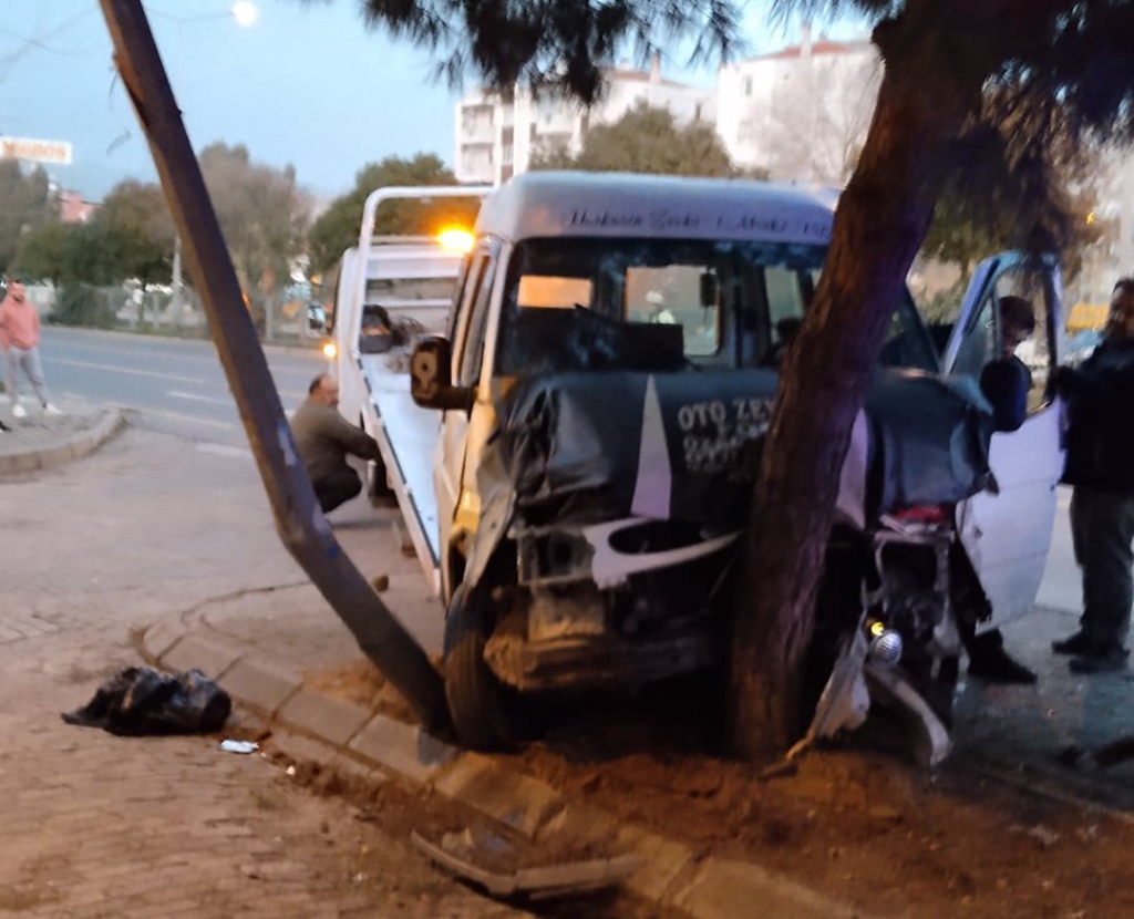 7704dc02 91f9 4a3d bedb d6d067ff1e5c