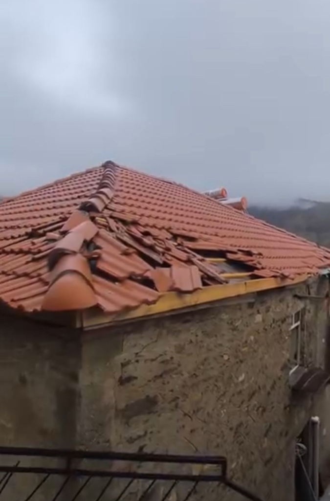 WhatsApp Image 2026 01 31 at 13.52.57 1