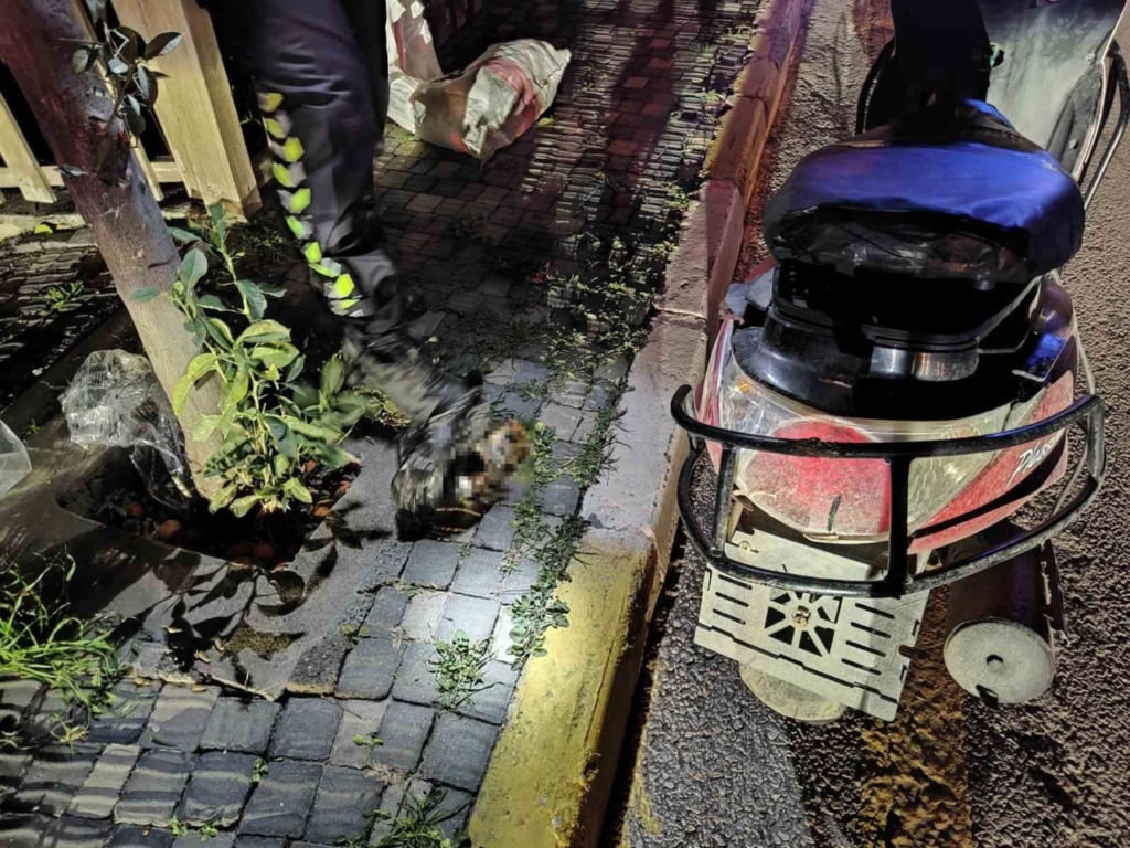 agaca carpan motosikletli yaralandi alkollu oldugu tespit edilince para cezasi kesildi 17d486e72a6c