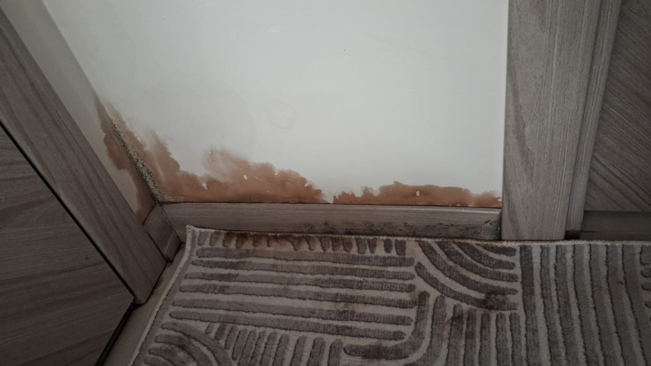Apartman dairelerinin her yerinden su sızmaya başladı