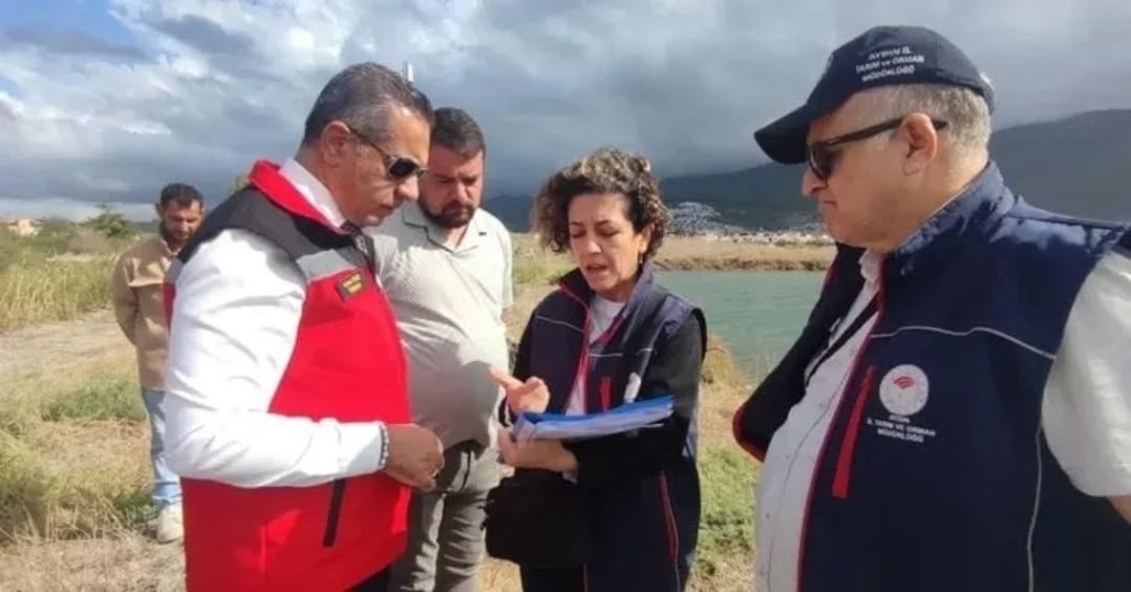 aydinda yasa disi avciliga gecit verilmiyor bir yilda 5 bin denetim yapildi 28ebe9bb7b3e