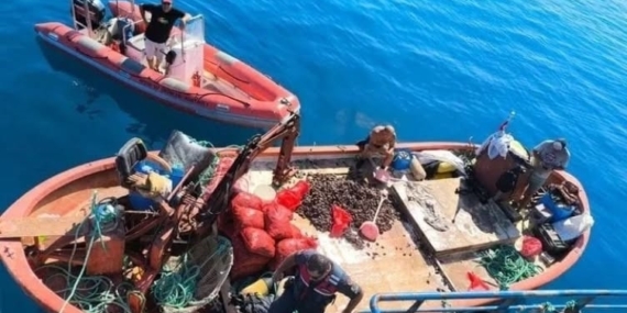 Aydın’da yasa dışı avcılığa geçit verilmiyor: “Bir yılda 5 bin denetim yapıldı”