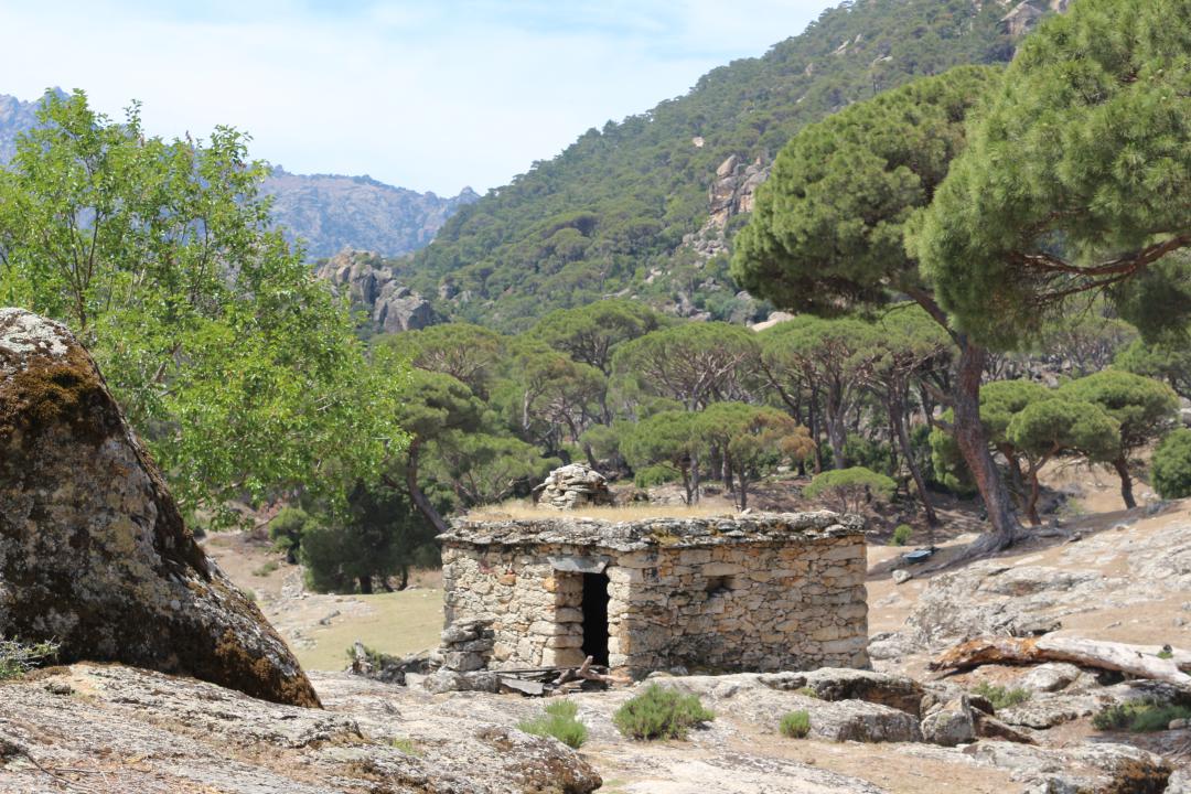 Bağarcık Kutsal Kamp Alanı
