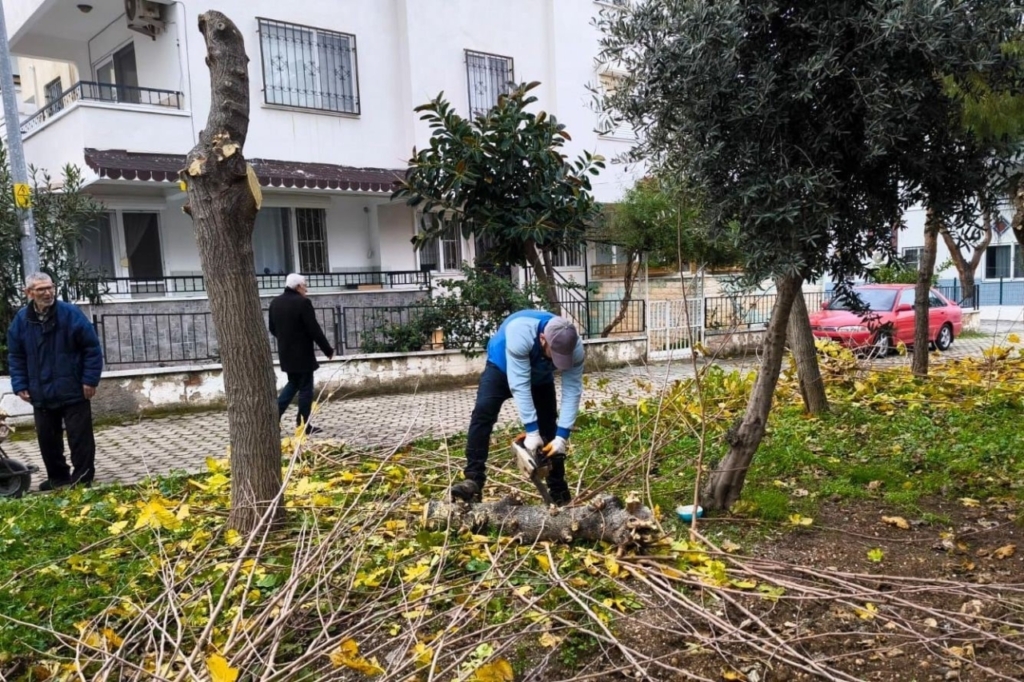 didim belediyesi ilce genelinde calismalarini surduruyor ea0a84aa0fb1