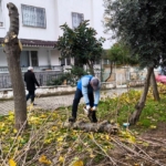 didim belediyesi ilce genelinde calismalarini surduruyor ea0a84aa0fb1