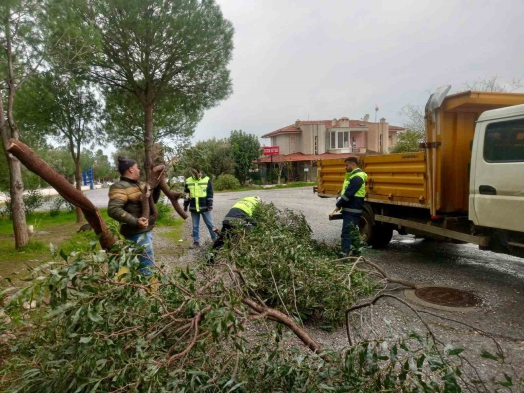 didim belediyesi sahada calismalarini surduruyor f0ab874de5b8