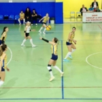 Didim Belediyespor, evinde galip geldi