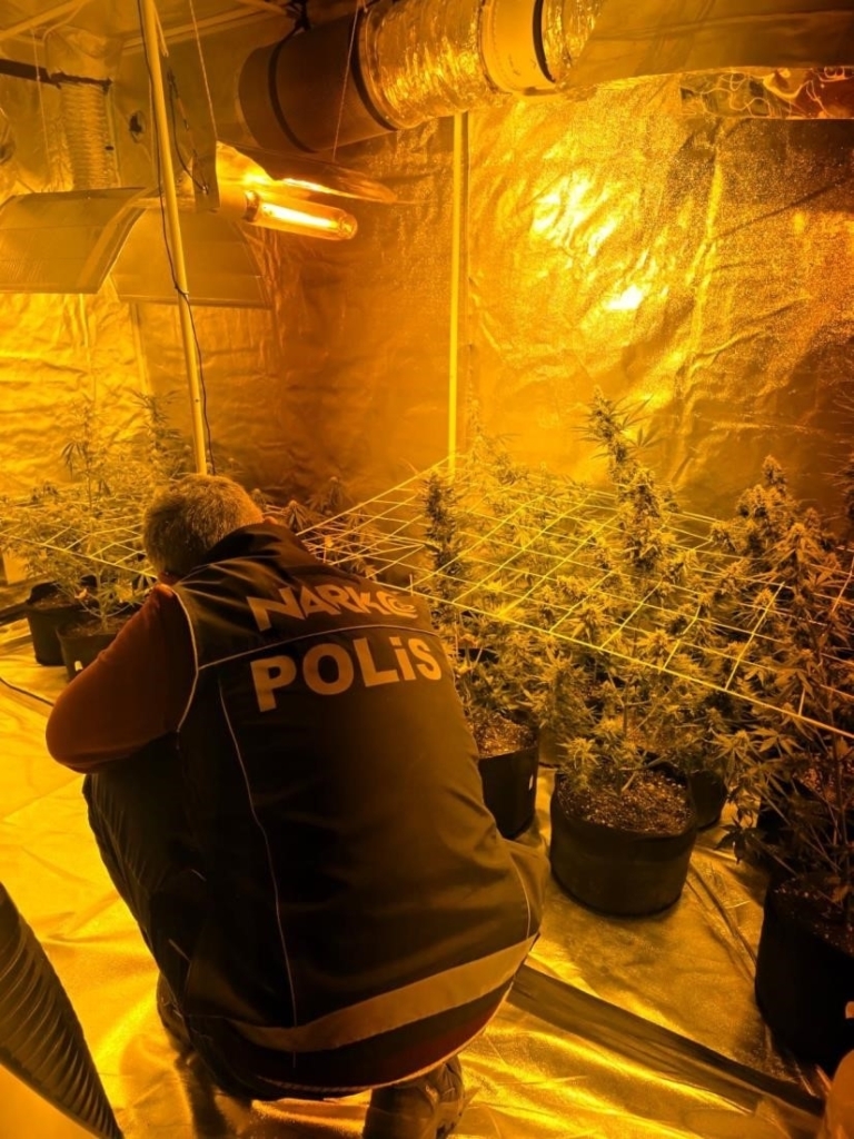 didimde uyusturucu operasyonu kenevir yetistirme kabini ele gecirildi d05dcf1fefa2
