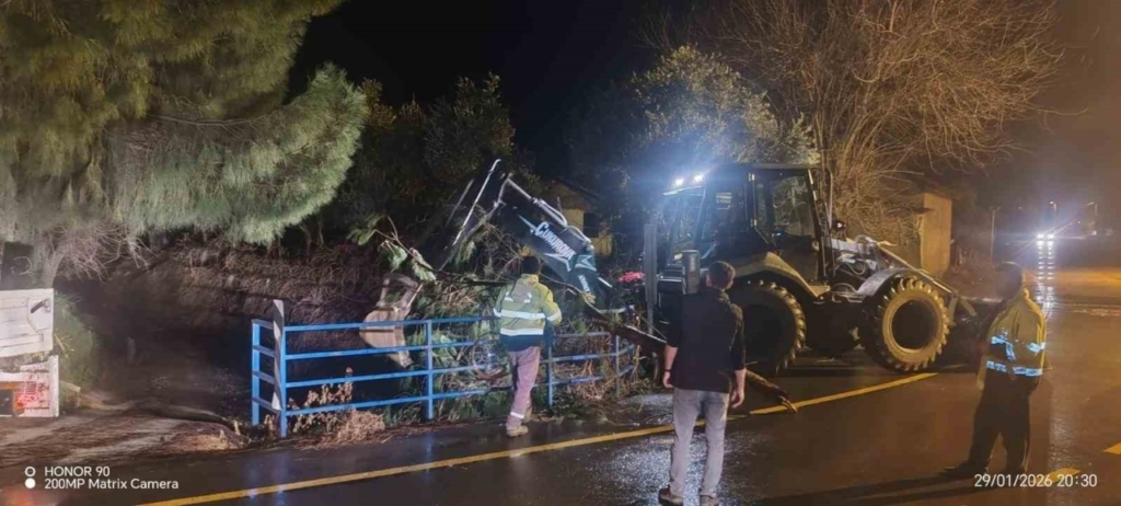 firtina mezarlikta agaclari devirdi belediye ekipleri aninda mudahale etti 0ab8e801e197