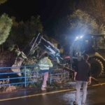 Fırtına mezarlıkta ağaçları devirdi, belediye ekipleri anında müdahale etti