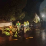 Fırtına mezarlıkta ağaçları devirdi, belediye ekipleri anında müdahale etti