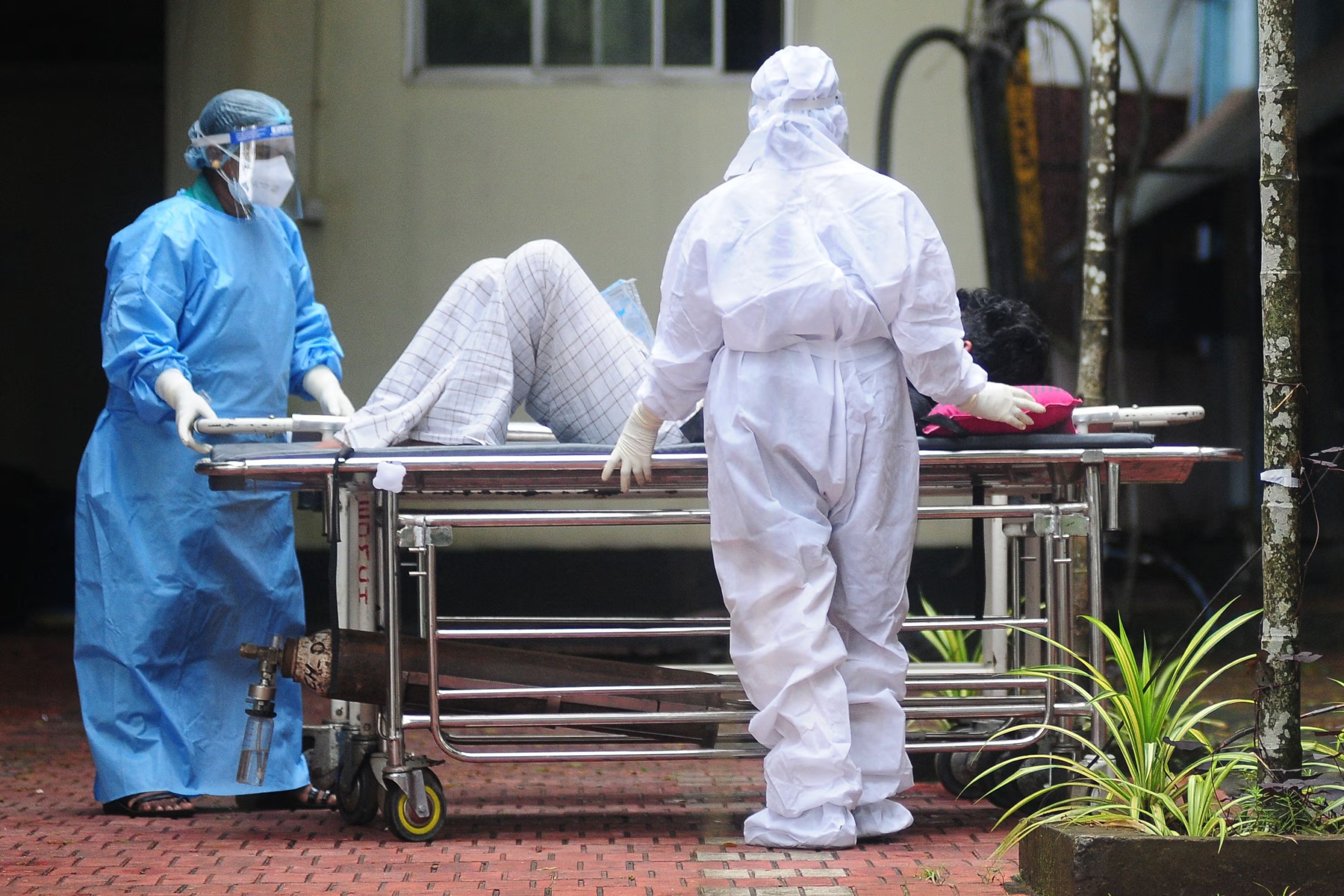 Dünya Sağlık Örgütü’nden Nipah Virüsü Uyarısı