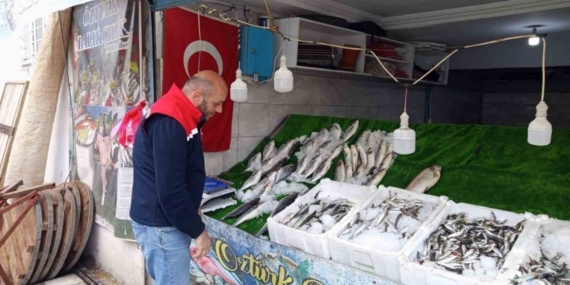 Köşk’te Balık Tezgahlarına Sıkı Takip: “Tüketici Sağlığı Önceliğimiz”