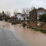 Kuşadası’nda bahçeler göle döndü, ağaçlar sular altında kaldı