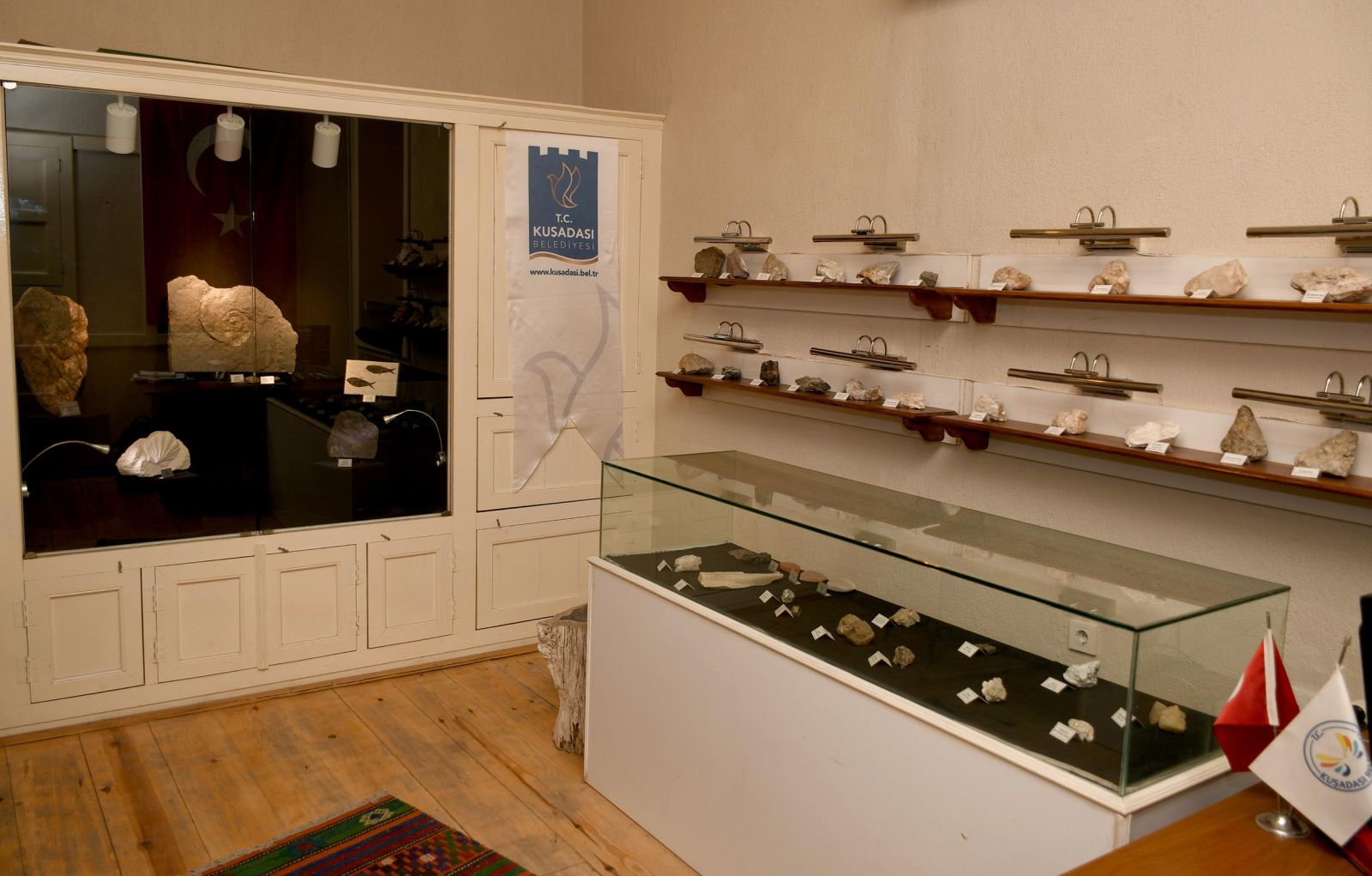 Mineral ve Fosil Müzesi