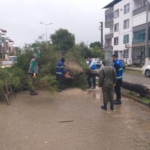 nazilli belediyesinden devrilen agaclara hizli mudahale 38b3f3959a58