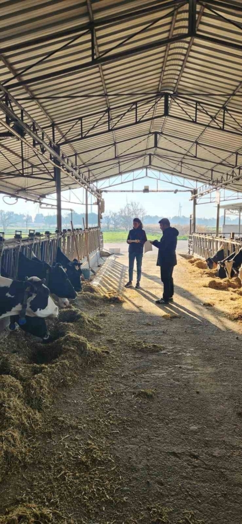 soke tayemde tuberkuloz ve brucella taramasi yapildi 33db34bcf6dd