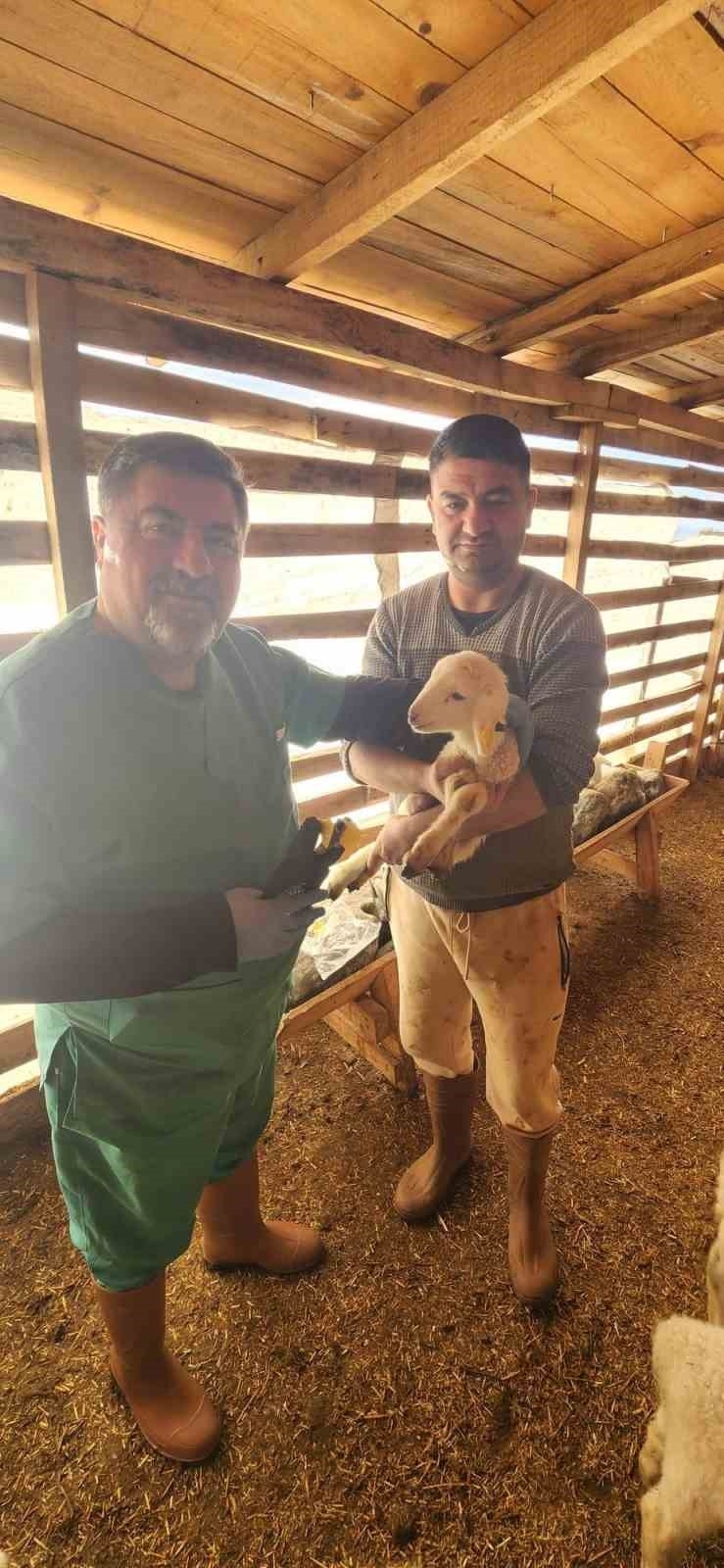 Söke Tarım Müdürlüğü’nden Sazlı’da hayvan sağlığı mesaisi