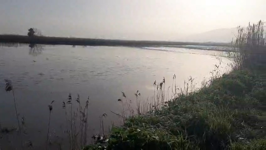 Büyük Menderes bu sefer de Köşk’te taştı