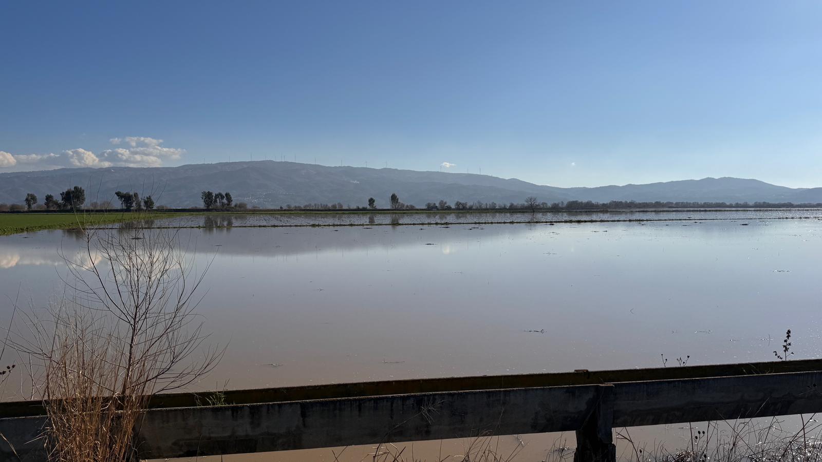 Menderes Nehri taştı: 2 bin dönümlük arazi sular altında kaldı