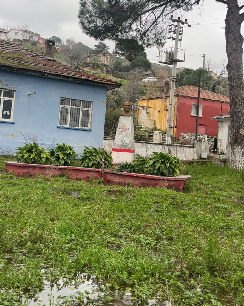 WhatsApp Image 2026 02 12 at 11.21.51 1