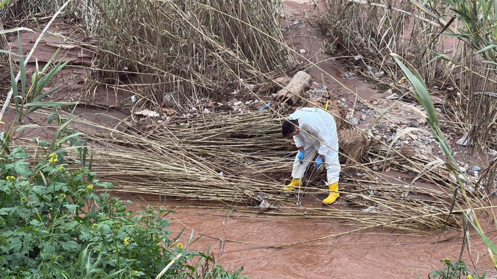 WhatsApp Image 2026 02 20 at 15.52.01 1