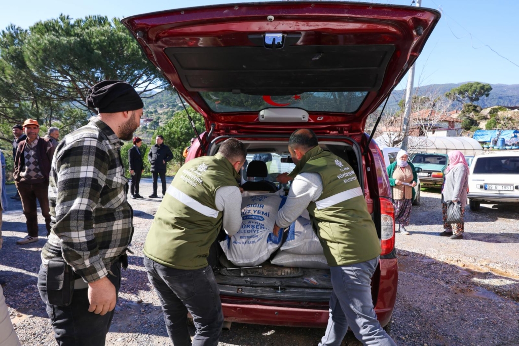 WhatsApp Image 2026 02 20 at 16.35.31 1