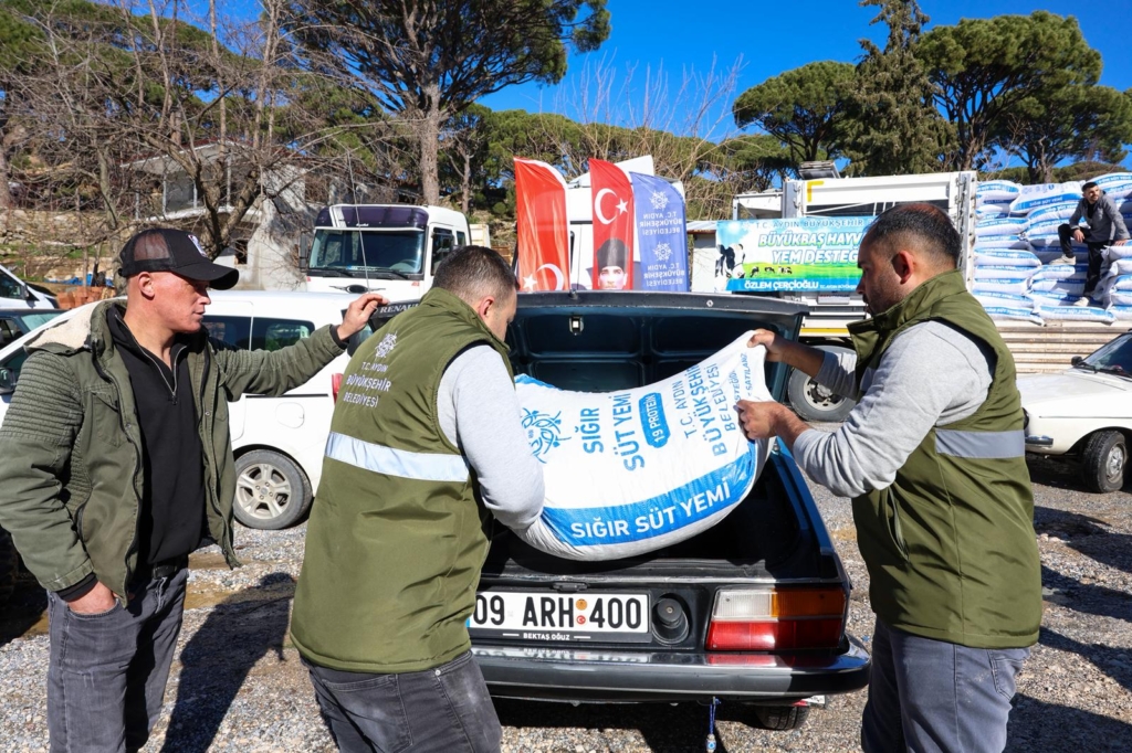 WhatsApp Image 2026 02 20 at 16.35.32