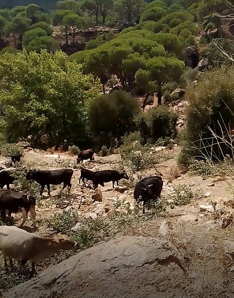 WhatsApp Image 2026 02 23 at 13.12.39