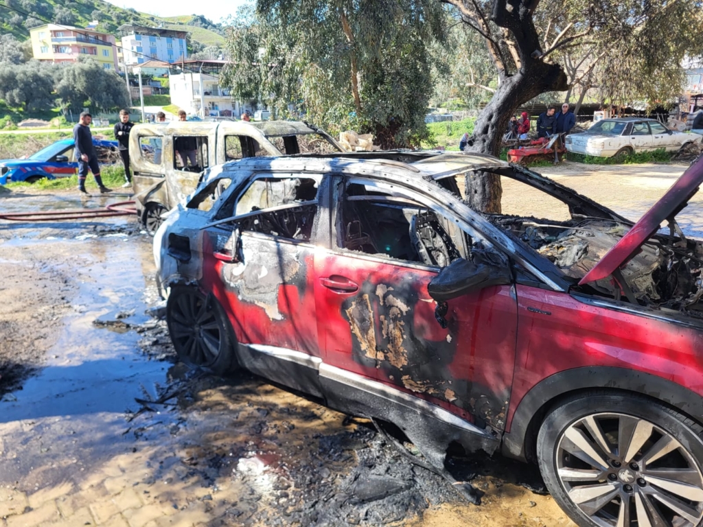 WhatsApp Image 2026 02 28 at 15.39.44 1