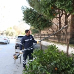 Aydın Büyükşehir Belediyesi’nden Efeler’in yeşil alanlarına bakım
