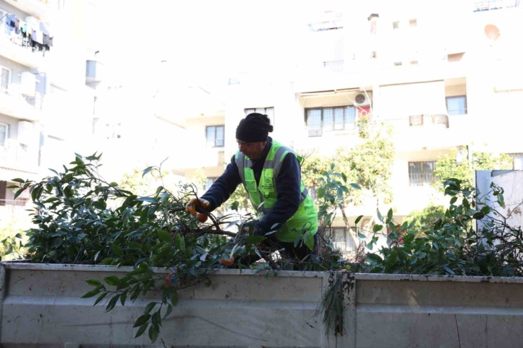 aydin buyuksehir belediyesinden efelerin yesil alanlarina bakim ae6b02c287cd