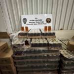 Aydın’da sahte gıda operasyonu