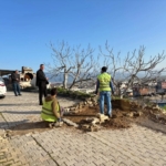 Başkan Ercan: "Yeni haftaya tam gaz hizmetlerle başladık"