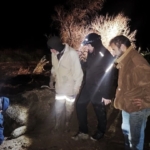 Bataklığa saplanan hayvan kurtarıldı