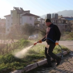 Bozdoğan’da yabani ot mücadelesi