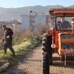 Bozdoğan’da yabani ot mücadelesi