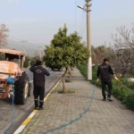 Bozdoğan’da yabani ot mücadelesi