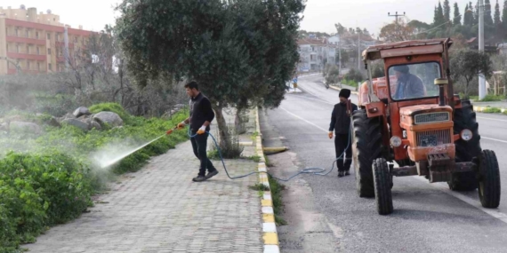 Bozdoğan’da yabani ot mücadelesi