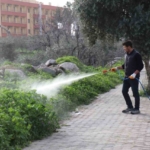 Bozdoğan’da yabani ot mücadelesi