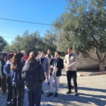 Buharkent’te kursiyerler zeytin ağaçları başında ter döktü