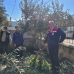 Buharkent’te kursiyerler zeytin ağaçları başında ter döktü