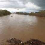 Büyük Menderes nehri, köprü seviyesine yükseldi